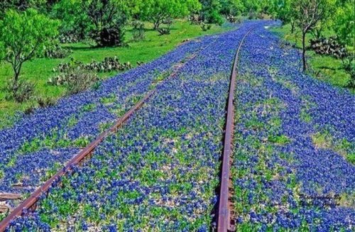Прикольные картинки пятницы (35 шт) Прикольные картинки пятницы (35 шт)