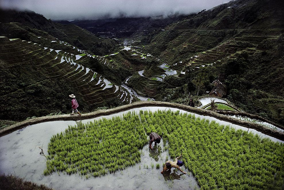McCurry15 Самые красивые фотографии Стива Мак Карри со всего света