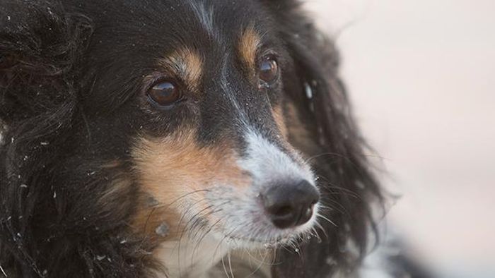 ураган, друг