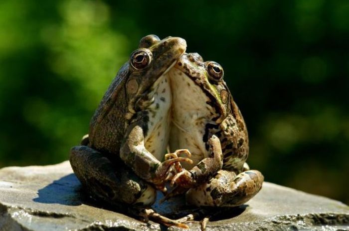 Давайте улыбаться вместе! :)