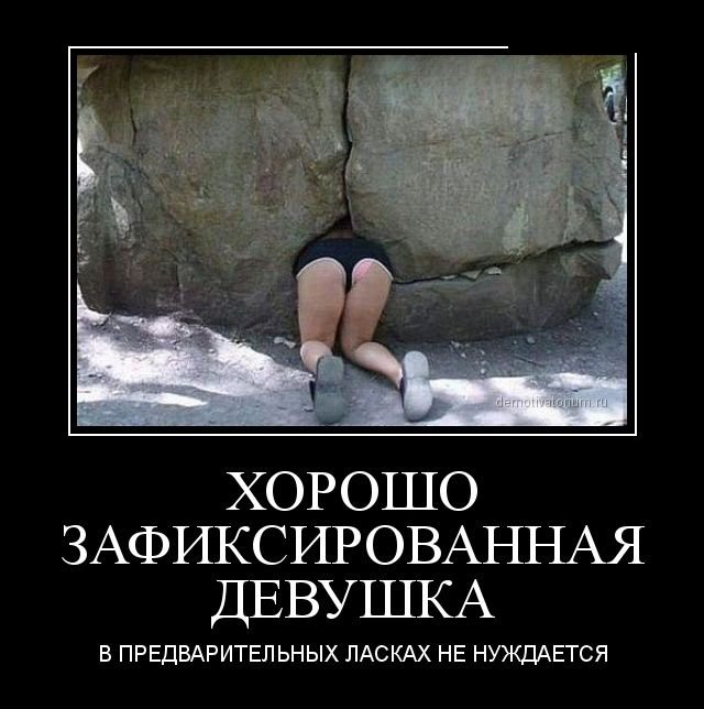 Демотиваторы веселые и смешные для хорошего настроения (11 фото) Демотиваторы веселые и смешные для хорошего настроения (11 фото)