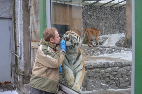 Фото: © Архив редакции / Ирина Пуляженкова