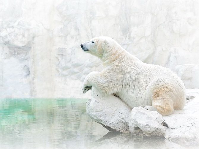 Лучшие фотографии National Geographic Лучшие фотографии National Geographic