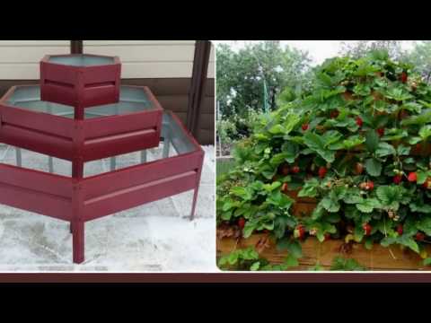 Грядки-клумбы-цветники Грядки-клумбы-цветники