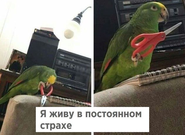 Подборка картинок. Подборка картинок.