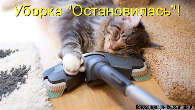Самые смешные котоматрицы за прошедшую неделю Самые смешные котоматрицы за прошедшую неделю