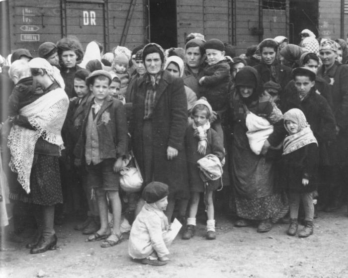 Венгерские евреи у поезда после прибытия в концлагерь Освенцим. Венгерские евреи у поезда после прибытия в концлагерь Освенцим.