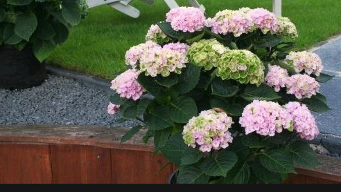 ���������.������� ��������� ������������� �� ����.