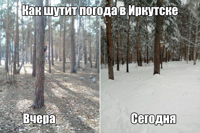 Забавные картинки с надписью для позитива (11 фото) Забавные картинки с надписью для позитива (11 фото)