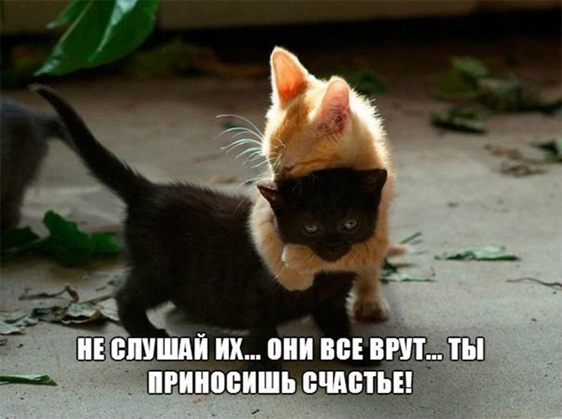 Позитивные картинки с надписями для настроения (11 фото) Позитивные картинки с надписями для настроения (11 фото)