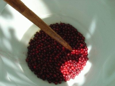 Фото Изображение