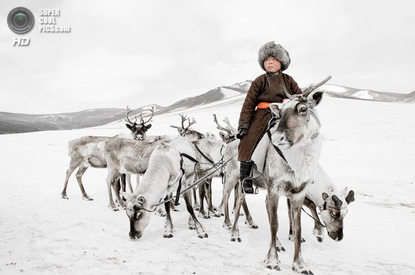 холод, племя, люди