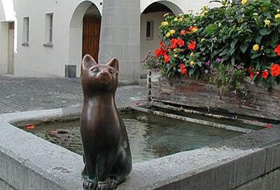 ���, �����-��-�����, ���������.