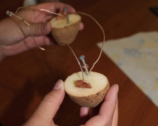 Картинки по запросу charge your phone with a potato