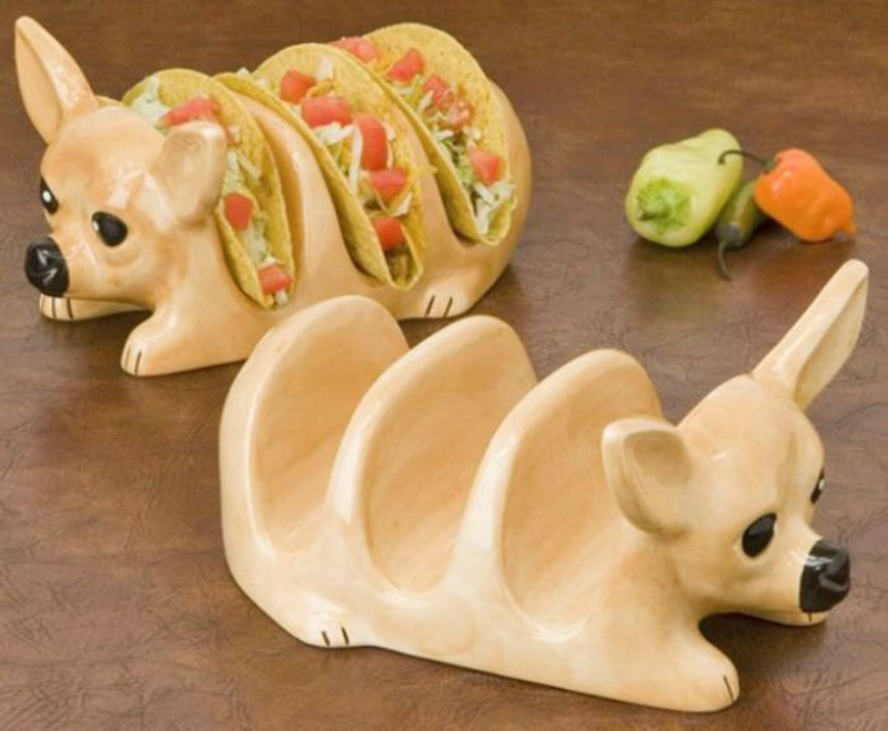 блюдо-чихуахуа