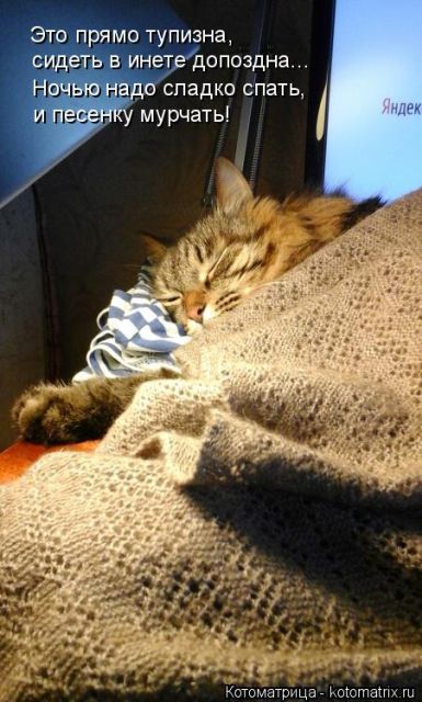 Котоматрицы великолепные, каждая с кусочком тепла, позитива и улыбкой!!! Всем добрых событий сегодня!!! Котоматрицы великолепные, каждая с кусочком тепла, позитива и улыбкой!!! Всем добрых событий сегодня!!!