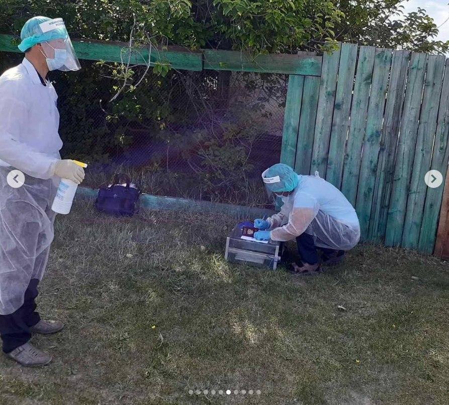 11 безумных фото голосования по поправкам к Конституции на пеньке и в багажнике