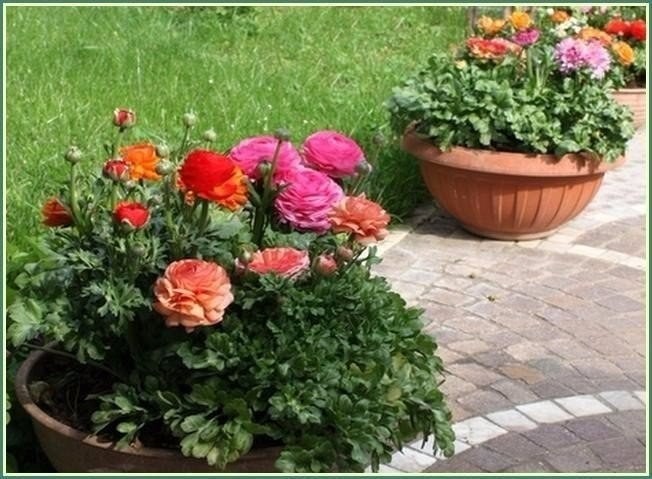 3937411_image_8 (652x479, 82Kb)
