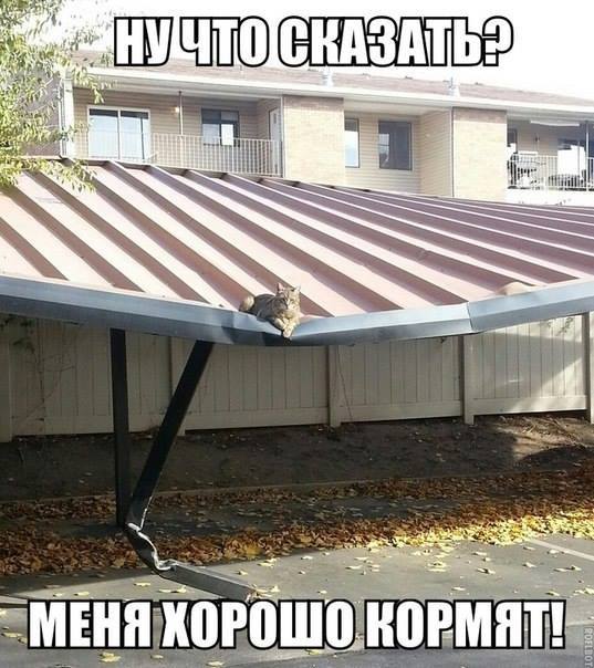 Хочу пятницу! - 2 Хочу пятницу! - 2