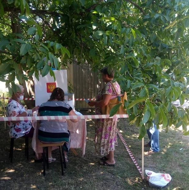 11 безумных фото голосования по поправкам к Конституции на пеньке и в багажнике
