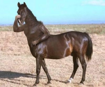 Классификация мужчин