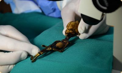 Тайные общества скрывают внеземные технологии