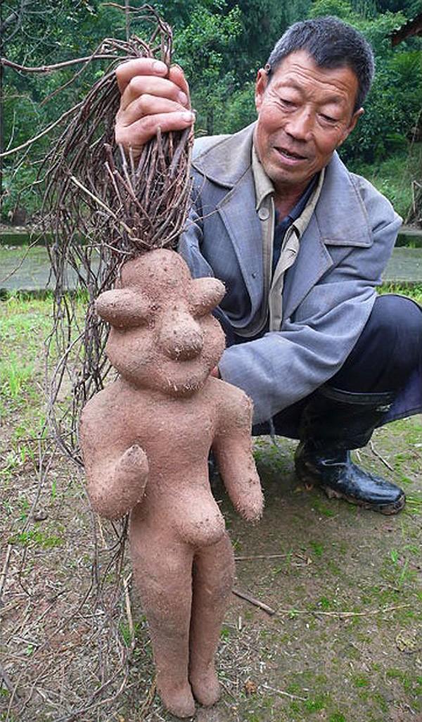 creepyplants57 Самые жуткие растения
