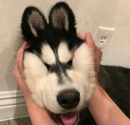 Прикольные картинки пятницы (35 шт) Прикольные картинки пятницы (35 шт)