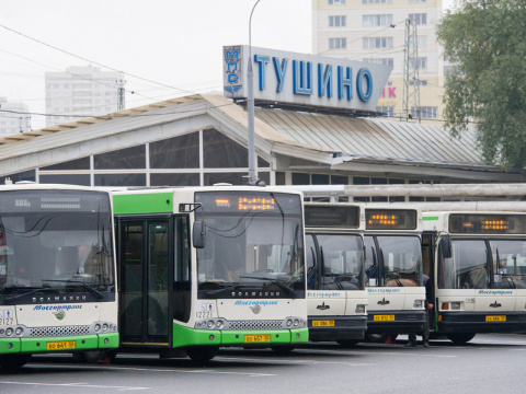Московские автобусы начали "стучать" на нарушителей в ГИБДД