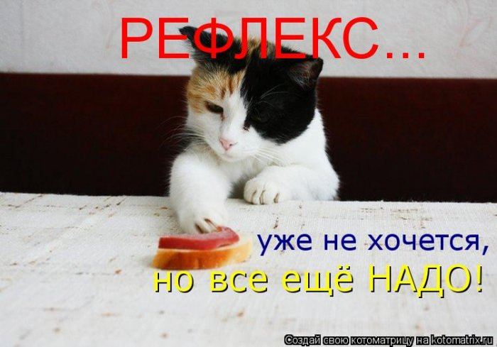 Мысли в слух :)