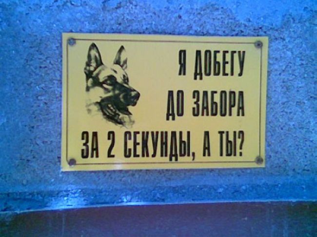 Самые оригинальные народные объявления уходящего года объявления, юмор