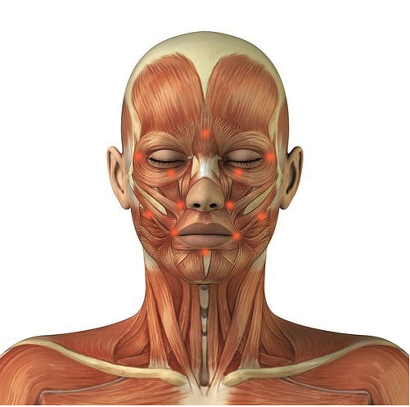 Facial pain center edian