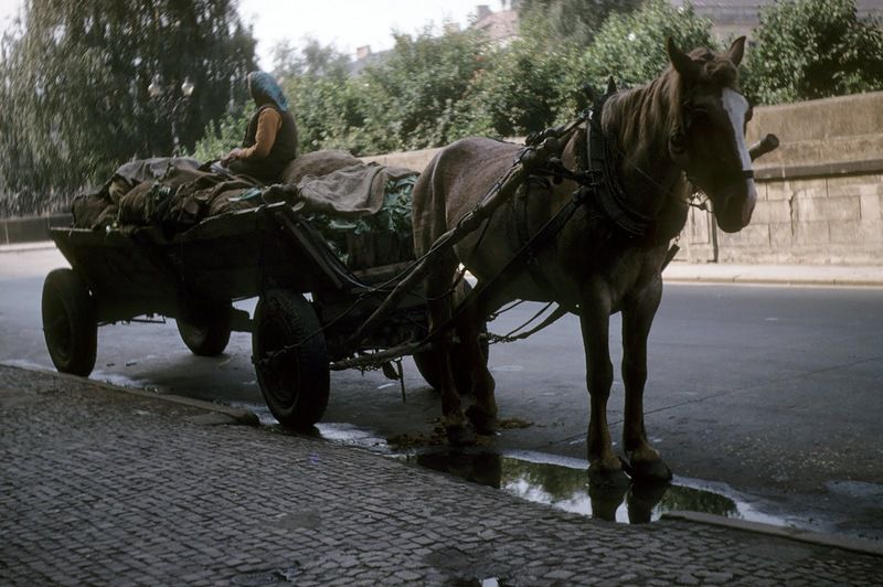 Джон Шульц, СССР, фотографии