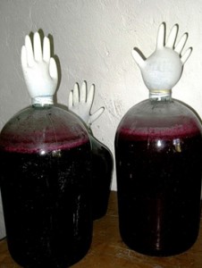 brozhenie-vina-s-pechatkoj брожение вина с перчаткой