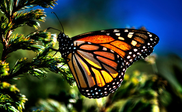 Куда поехать тем, кто уже все видел Куда поехать тем, кто уже все видел