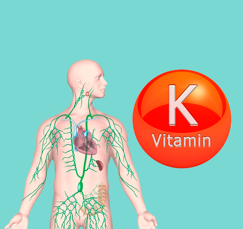 Признаки дефицита витамина К