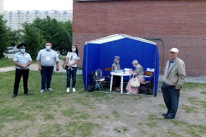 11 безумных фото голосования по поправкам к Конституции на пеньке и в багажнике