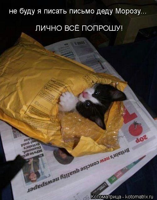 (  )