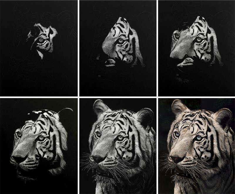 Гиперреалистичные рисунки животных в технике скретчборд: это потрясающе! вдохновение, искусство, красиво, подборка, рисунки, творчество, фото, художник