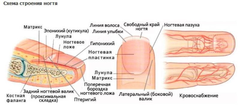 Латинский язык Википедия К чему снится Прощение во сне по 90 сонникам! Если видишь