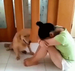 Ну что опять случилось? Ну что опять случилось?