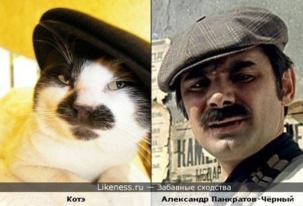 сходства, люди