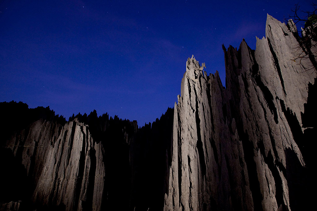 madagascar stone forest 15 Каменный лес на Мадагаскаре