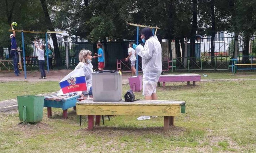 11 безумных фото голосования по поправкам к Конституции на пеньке и в багажнике