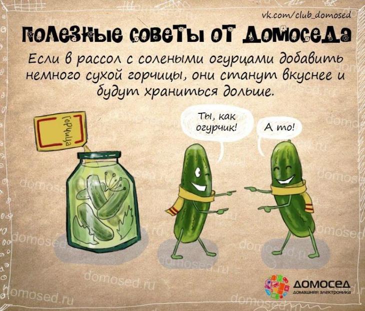 25 советов на все случаи жизни, которые пригодятся каждому полезные советы от домоседа, полезные советы, советы на все случаи жизни