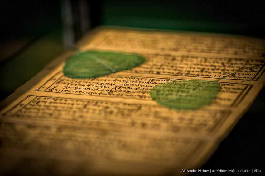 Гималаи, буддизм, выставка