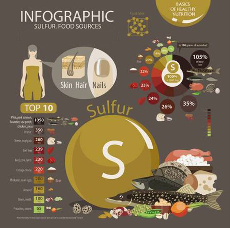 Признаки недостатка серы в организме