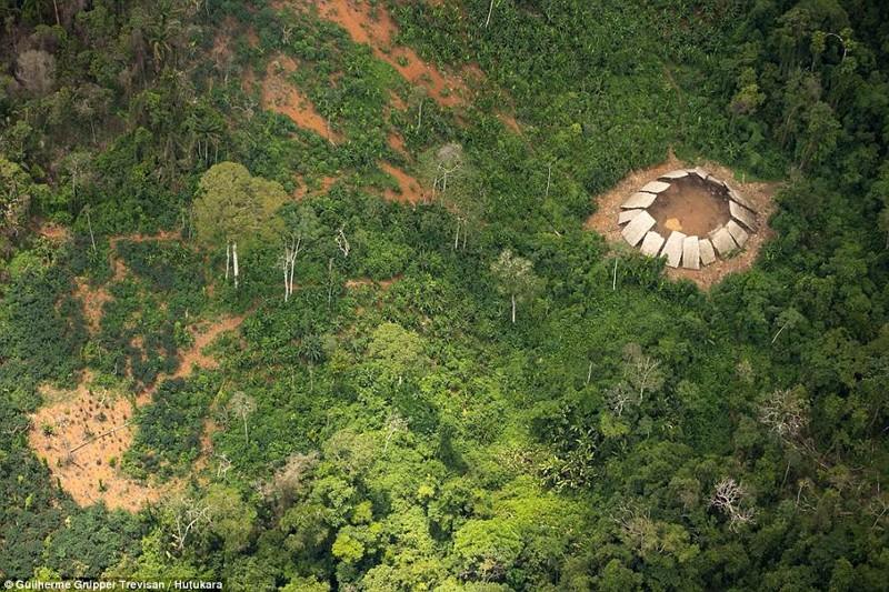 В джунглях Амазонки обнаружено еще одно нетронутое цивилизацией племя (8 фото)