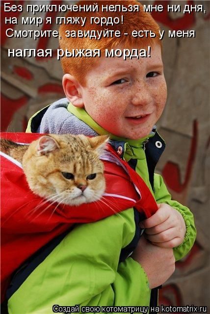 Самые смешные котоматрицы за прошедшую неделю