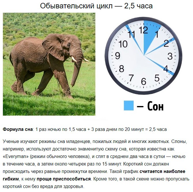 Как выспаться за 2 часа: режим Сальвадора Дали